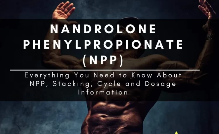 Nandrolone-Phenylpropionate-review